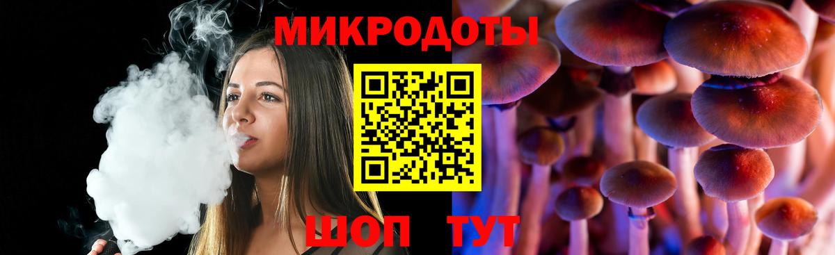 как найти   Галлюциногенные грибы Psilocybine cubensis  Вход с VPN  Северодвинск 